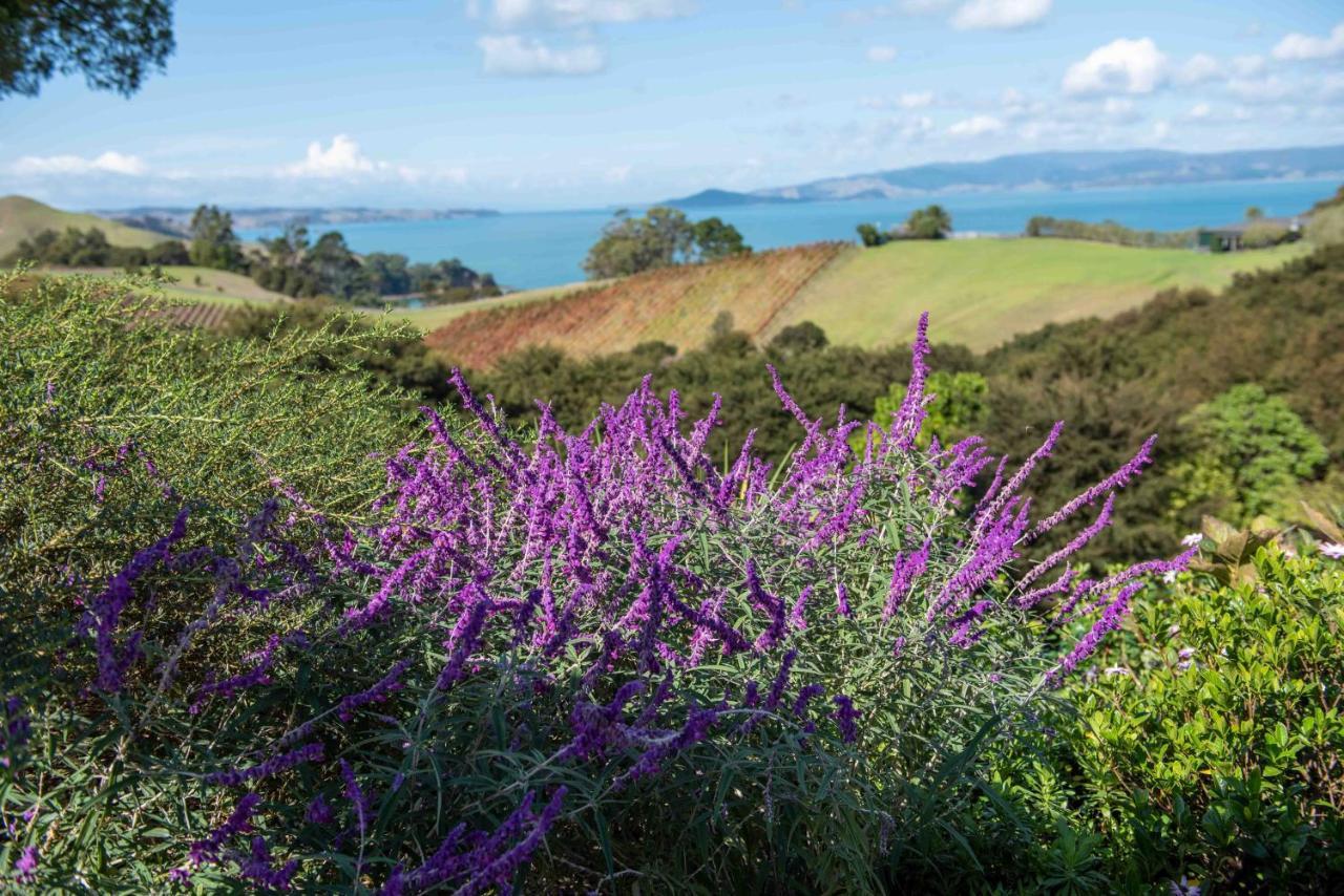 Waiheke Luxury Blue And Green Rooms Ostend Exteriér fotografie